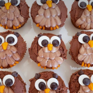 Photo of Owl Cupcakes