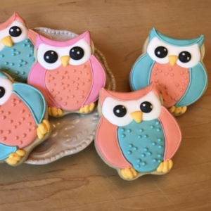 Sip & Decorate- Owls! - Photo
