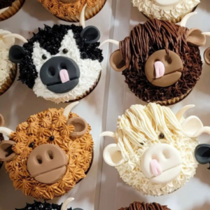 Highland Cows! - Open Studio