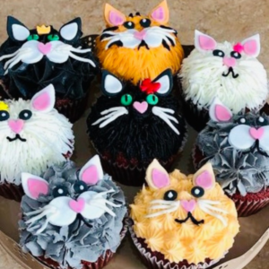 I love Kittens - Open Studio